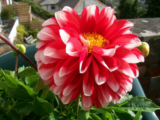 680264 (a): :1600x1200